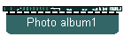 Photo album1